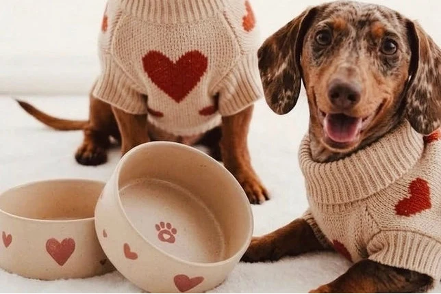 Handmade stoneware dog food and water bowls in cream with hand-painted red hearts