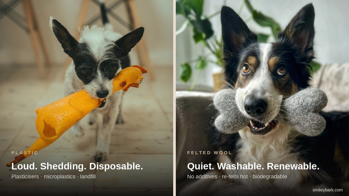 Why Felted Wool Dog Toys Beat Plastic (and Where They Don't) - Smiley Bark