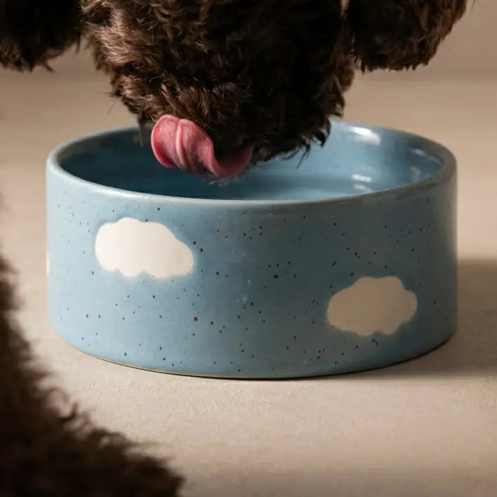 Vegan & Eco-Friendly Dog Accessories