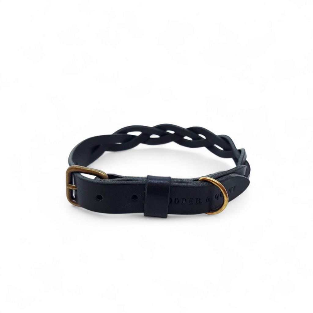 Close-up of hand-braided midnight black leather dog collar with antique brass hardware.