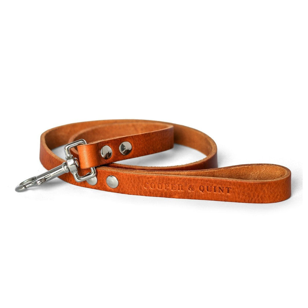 Sleek camel cognac leather dog leash with minimalist silver hardware.
