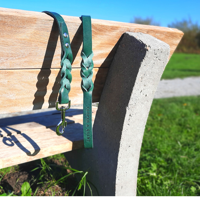 Green braided leather dog lead used for a stylish park walk.
