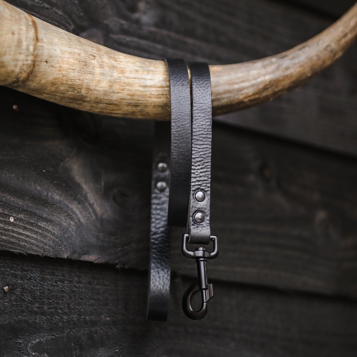 No Fuss Leather Dog Leash – Midnight Black | Minimalist Italian Leather