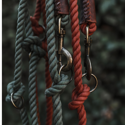 3-in-1 Adjustable Twisted Cotton Rope Leash – Rusty Red | Hands-Free & Anti-Burn