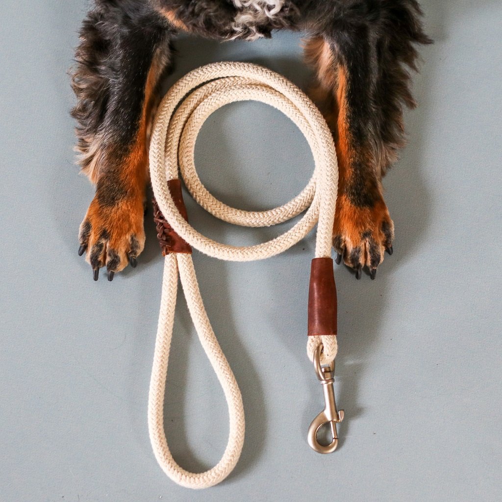 Minimalist off-white organic cotton dog leash for modern pet owners.