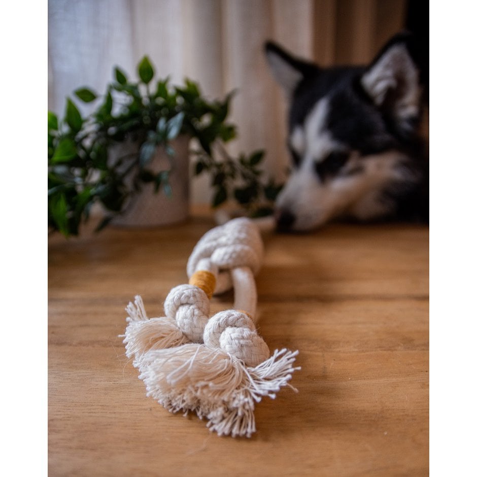 Snake Knot Natural Cotton Rope Toy | Handmade Non-Toxic Puppy Teething Toy