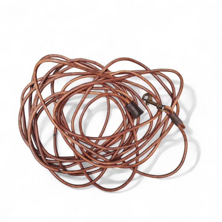 Close-up of the heavy-duty swivel clip on the Drift brown training lead.