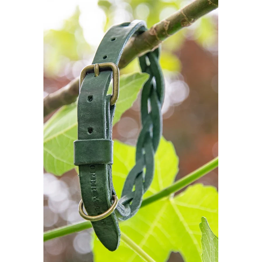 Twisted Braided Leather Dog Collar – Forest Green | Handcrafted & Sustainable