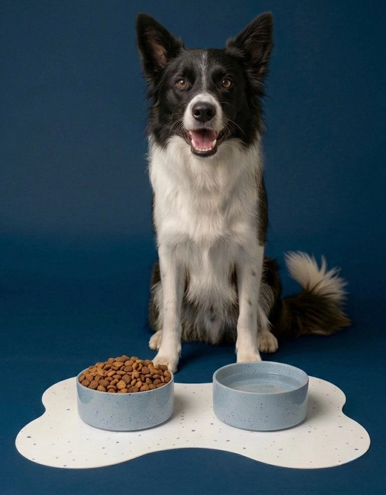The Splatter Pet Bowl Set (Pack of 2) – Soft Blue