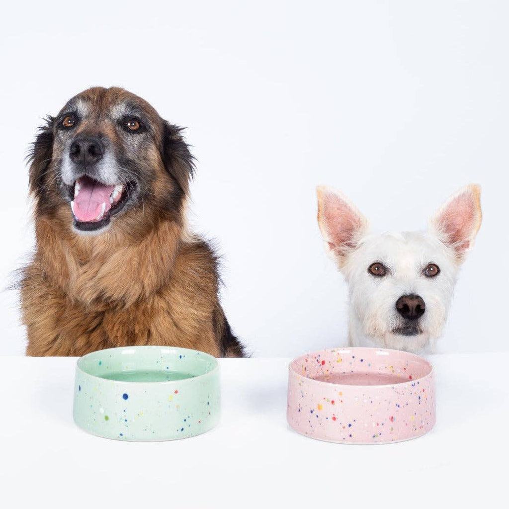 The Splatter Pet Bowl Set (Pack of 2) – Candy Pink