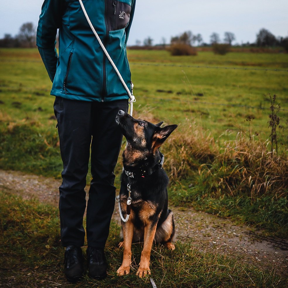 Just Cotton 3-in-1 Adjustable Rope Leash – Natural Ecru | 100% Organic & Hands-Free