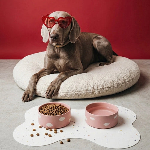 Dog wearing heart-shaped sunglasses on a fluffy pillow with two Satin Pink Cloud Pet Bowls