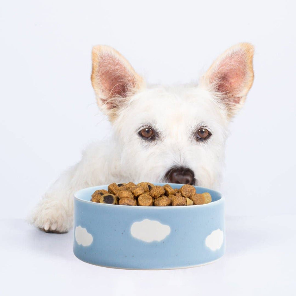 Cloud Handcrafted Stoneware Pet Bowl Set of 2 – Sky Blue