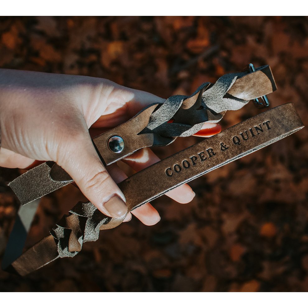 Close-up of stone grey braided leather dog leash with polished silver hardware.