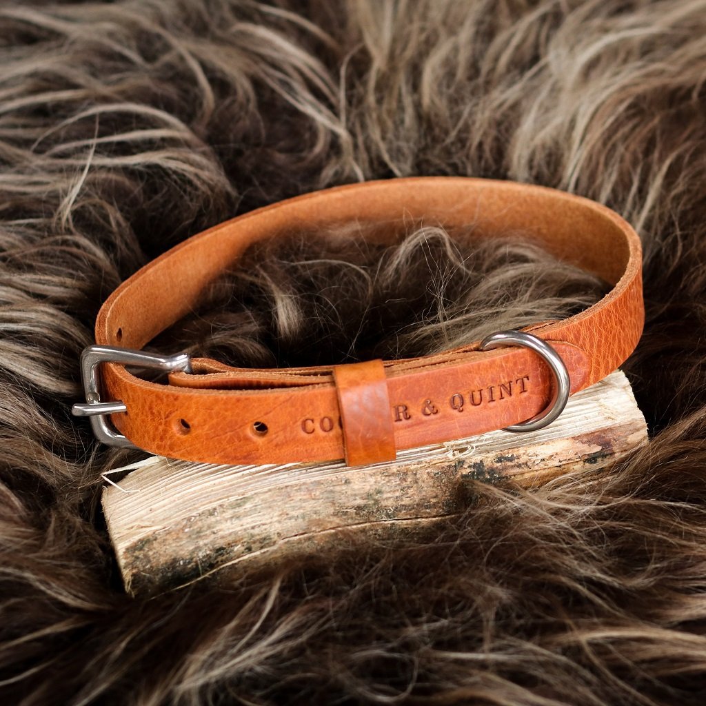 Minimalist camel cognac leather dog collar with polished silver hardware.