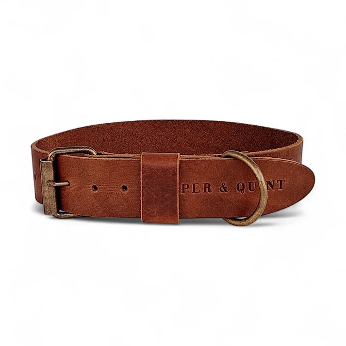 Brown leather wide dog collar with old brass buckle option.