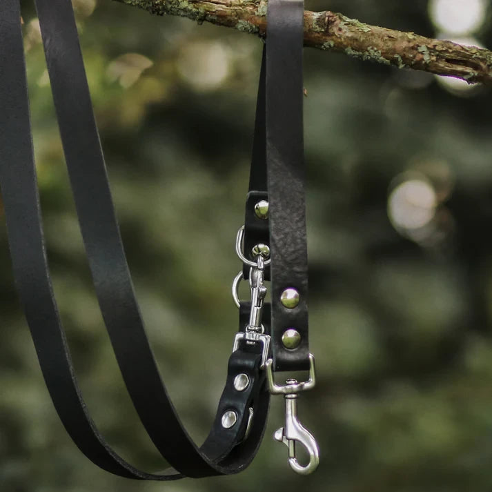 Professional midnight black 3-in-1 leather dog leash with silver hardware.