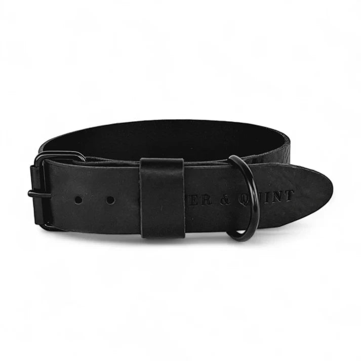 Monochromatic all-black wide leather dog collar with matte black hardware.