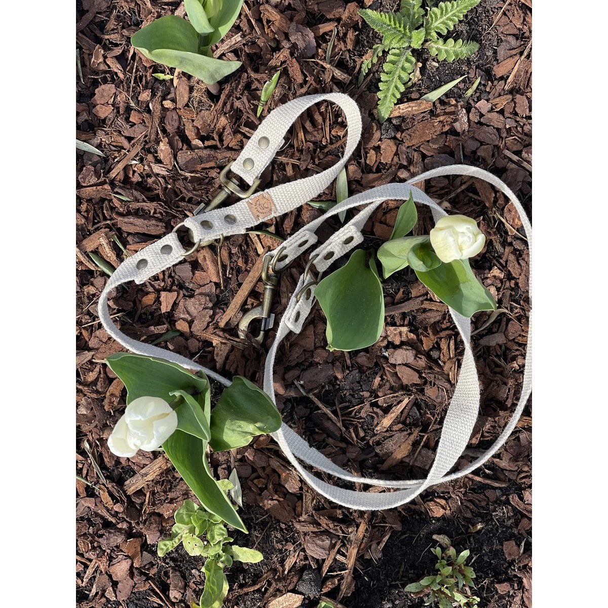 Simply Hemp Dog Leash – Shell White | 100% Vegan & Antibacterial | European Hemp