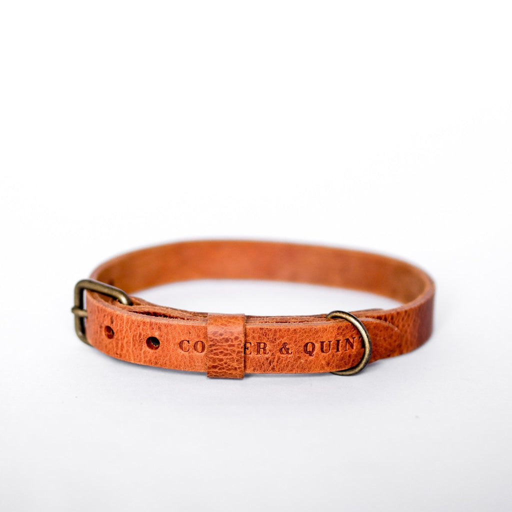 No Fuss Leather Dog Collar – Camel / Cognac | Minimalist Italian Leather
