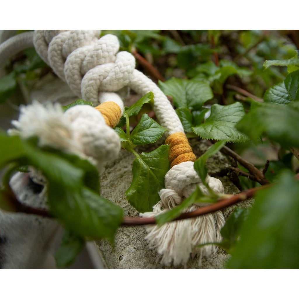 Close-up of 10mm thick braided natural cotton rope toy for puppy teething and dental health.