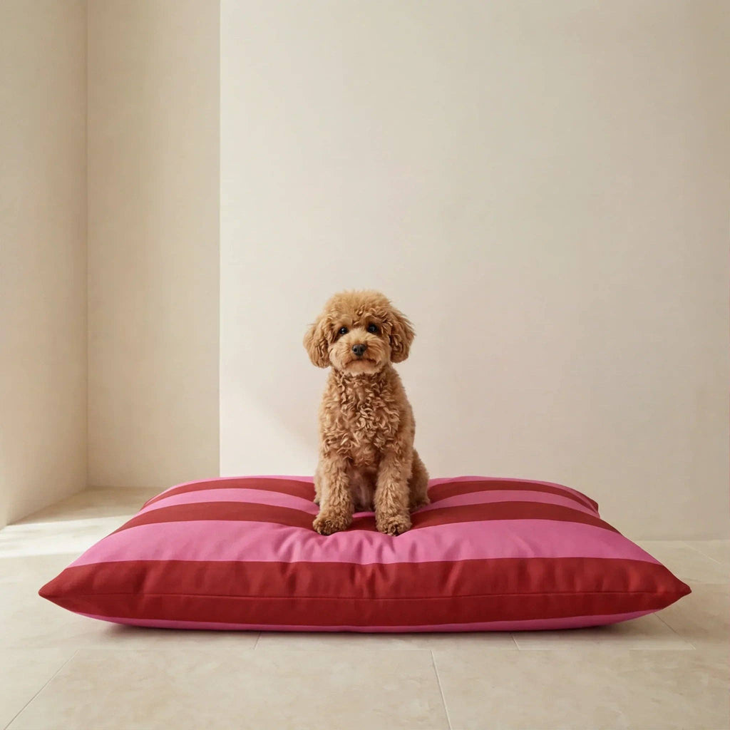 Extra large stain-resistant dog bed that repels dirt