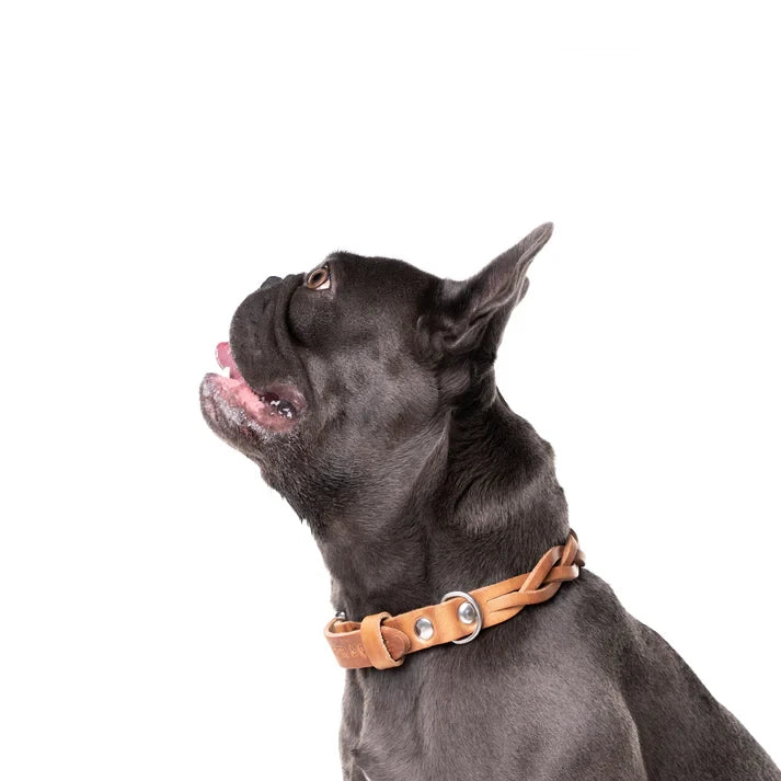 Twisted Braided Leather Dog Collar – Camel / Cognac | Handcrafted Italian Leather