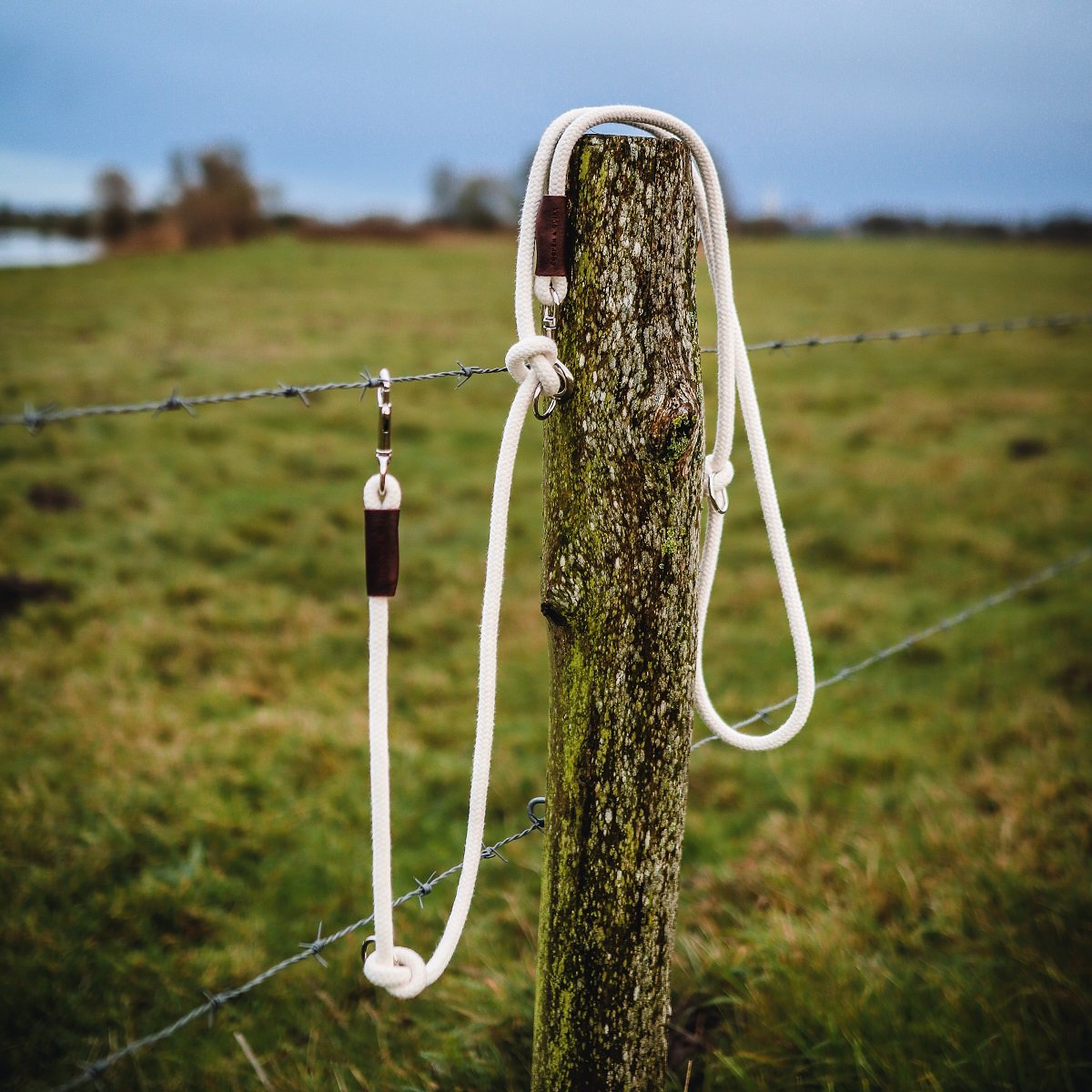 Just Cotton 3-in-1 Adjustable Rope Leash – Natural Ecru | 100% Organic & Hands-Free