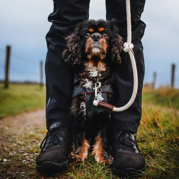 Just Cotton 3-in-1 Adjustable Rope Leash – Natural Ecru | 100% Organic & Hands-Free