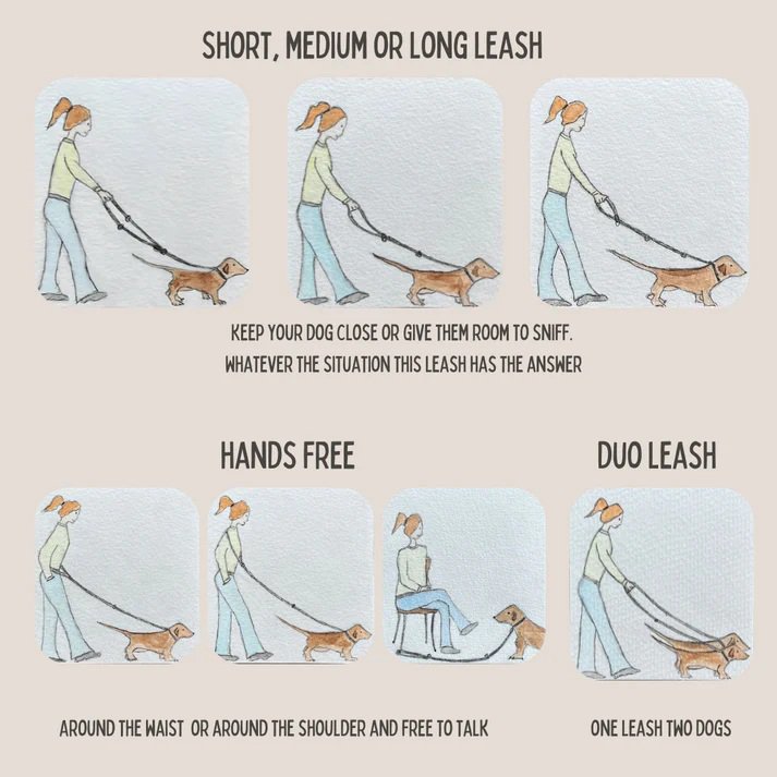 3-in-1 Adjustable Twisted Cotton Rope Leash – Mocha Brown | Hands-Free & Soft-Grip