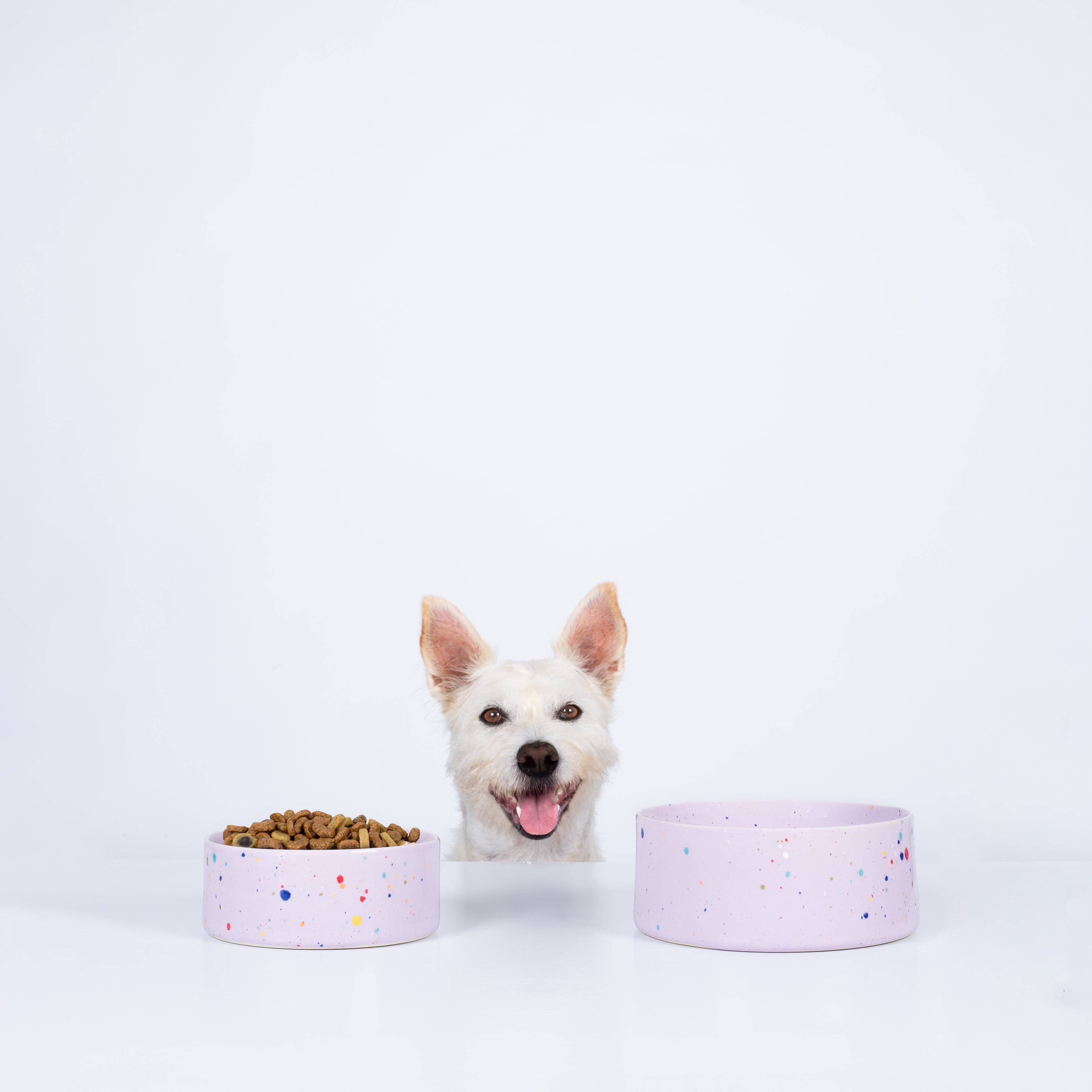 The Splatter Pet Bowl Set (Pack of 2) – Dreamy Lilac