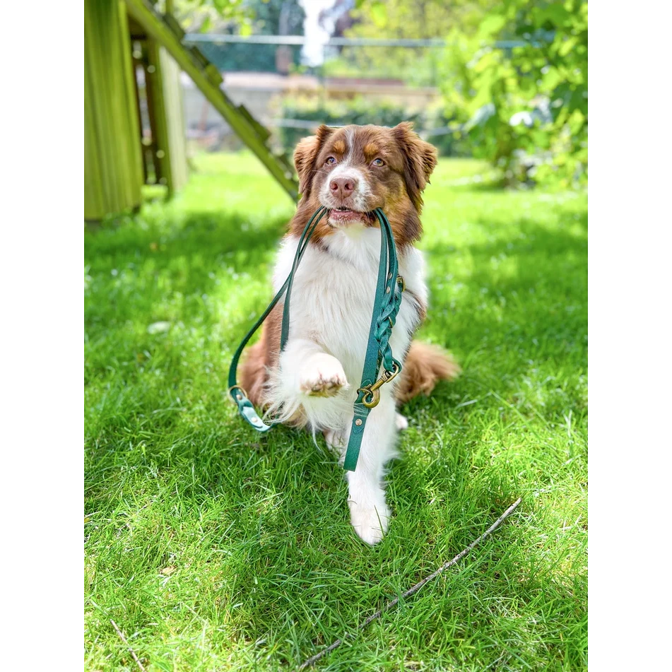 Twisted Switch 3-in-1 Braided Leather Leash – Forest Green