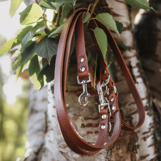 The Switch 3-in-1 Multi-Functional Leather Leash – Chocolate Brown