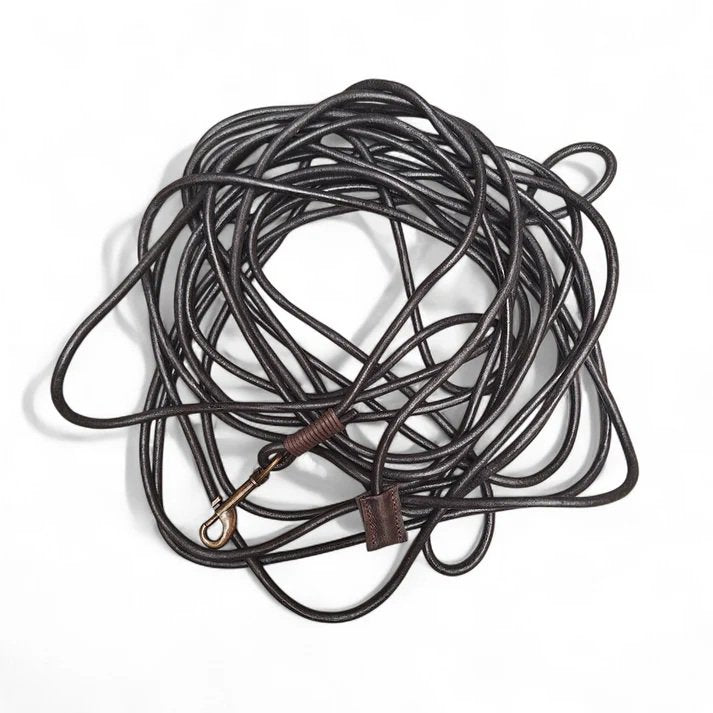 Sleek midnight black leather dog towline coiled, 10-meter lightweight training lead.