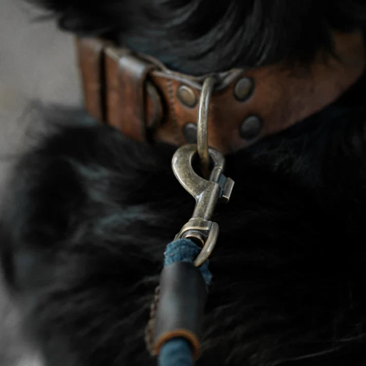 3-in-1 Adjustable Twisted Cotton Rope Leash – Midnight Blue | 2.5m Hands-Free & Soft-Grip