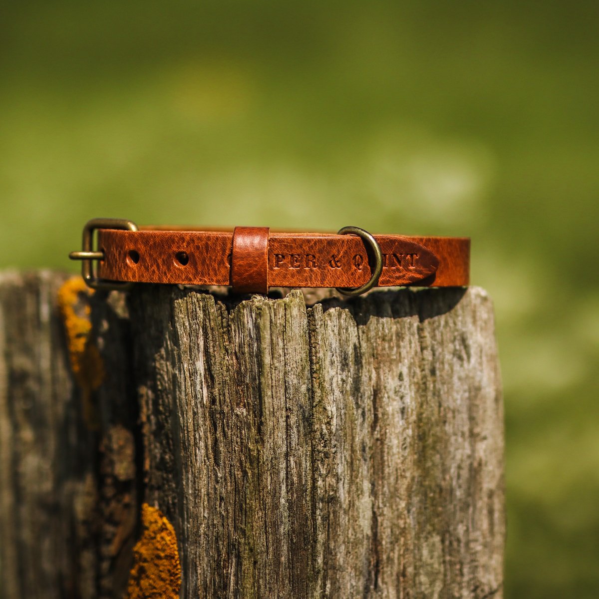 No Fuss Leather Dog Collar – Heritage Brown | Minimalist Italian Leather