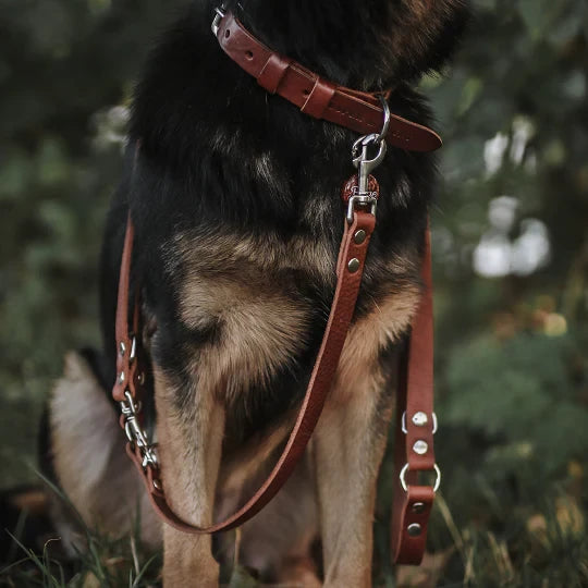 The Switch 3-in-1 Multi-Functional Leather Leash – Chocolate Brown