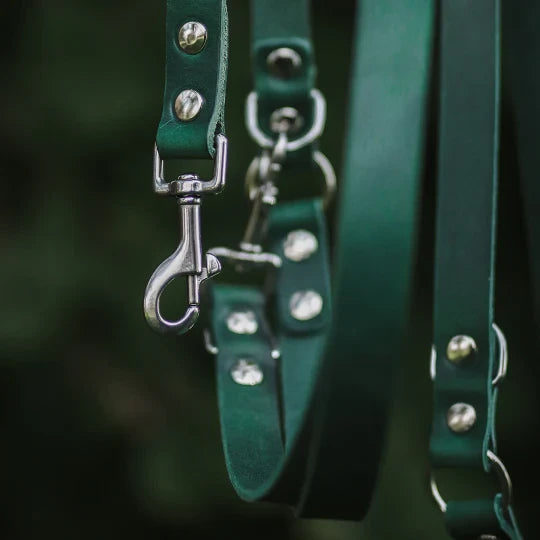 Detail of high-quality vegetable-tanned green leather and brass hook on a multi-functional lead.