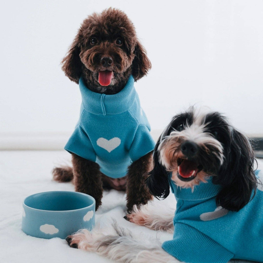 Cloud Handcrafted Stoneware Pet Bowl Set of 2 – Sky Blue
