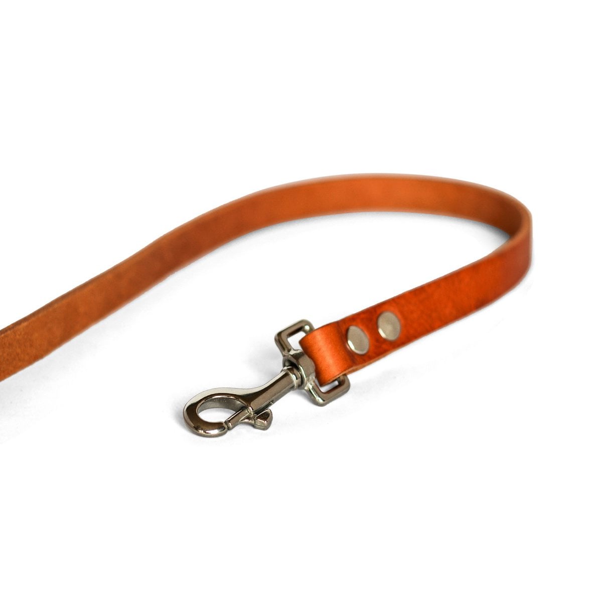 Close-up of premium full-grain vegetable-tanned leather on a 'No Fuss' dog lead.