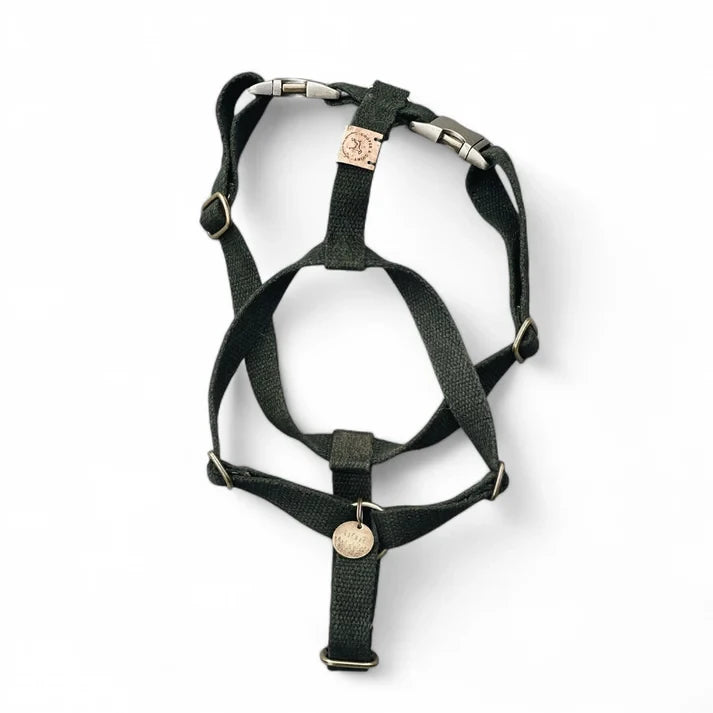 Hand-dyed forest green hemp dog harness showing unique color depth and natural fiber texture.