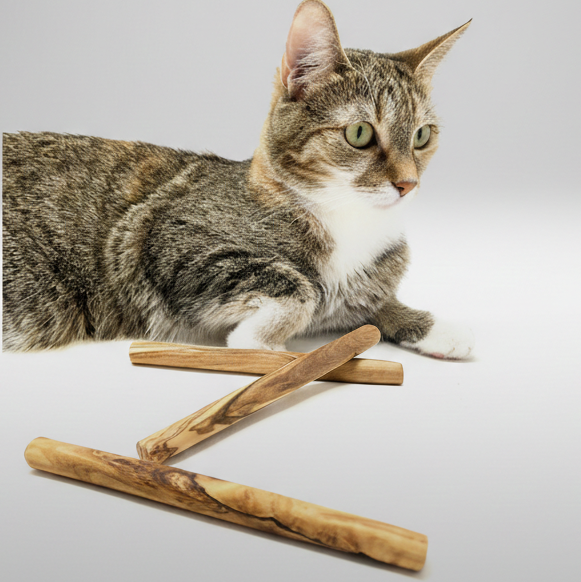 Natural Olive Wood Dental Chews for Small Dogs & Cats | Set of 3