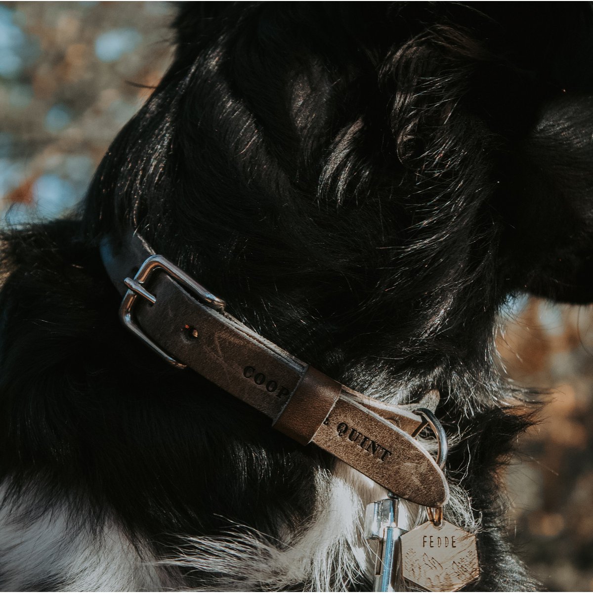 No Fuss Leather Dog Collar – Stone Grey / Clay | Minimalist Italian Leather