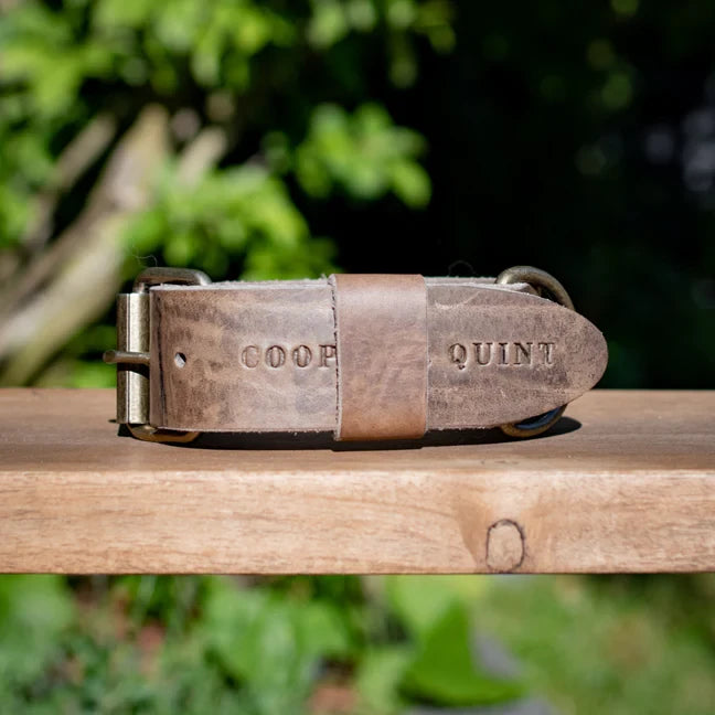 Detailed side-view of 4cm wide clay-colored leather dog collar showing premium thickness.