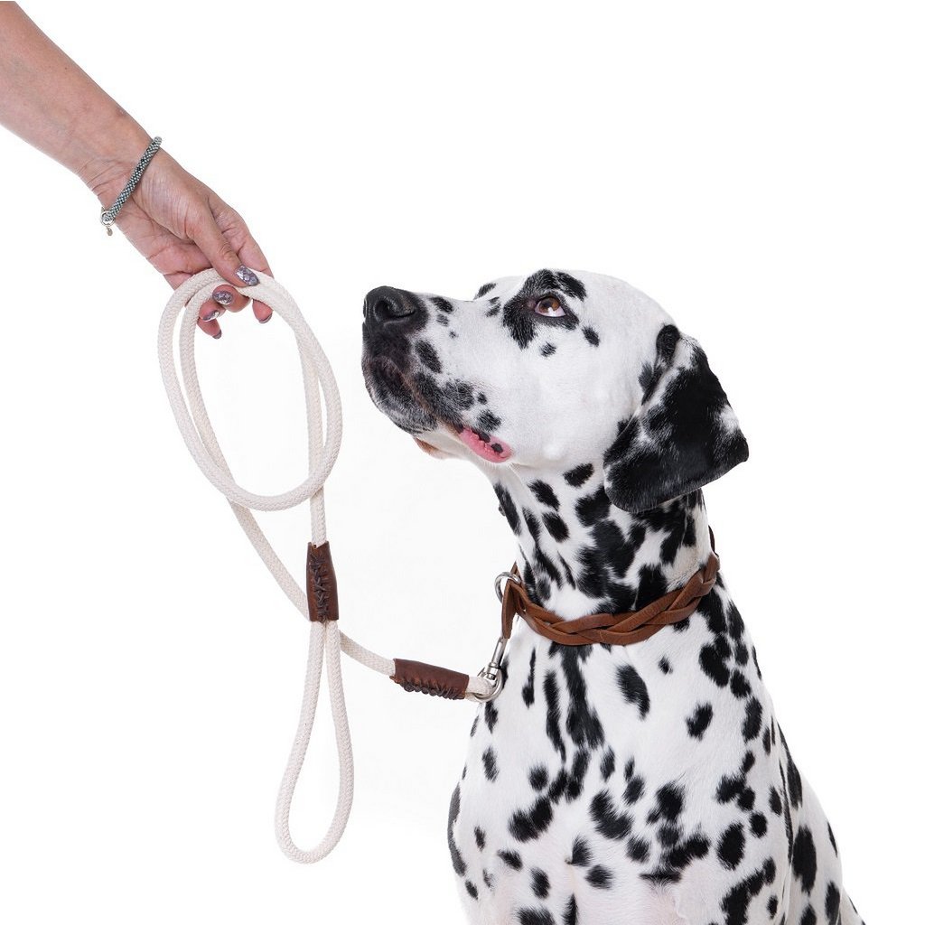 Just Cotton Organic Dog Leash – Ecru / Off-White | Handcrafted & Soft-Grip