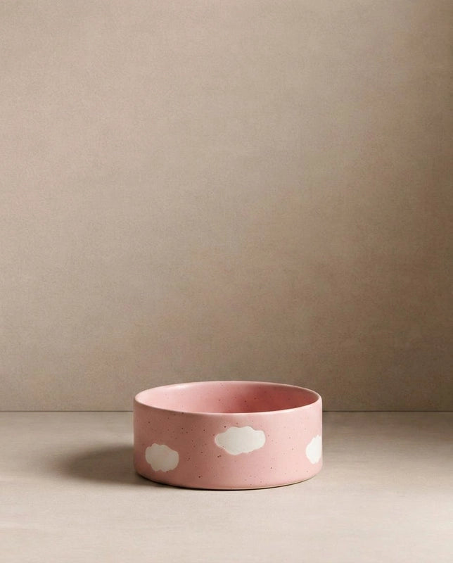 Cloud Handcrafted Stoneware Pet Bowl Set of 2 – Satin Pink