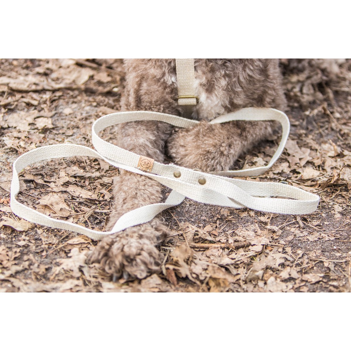 Simply Hemp Dog Leash – Shell White | 100% Vegan & Antibacterial | European Hemp