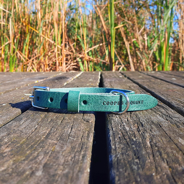 Minimalist forest green Italian leather dog collar with silver buckle.