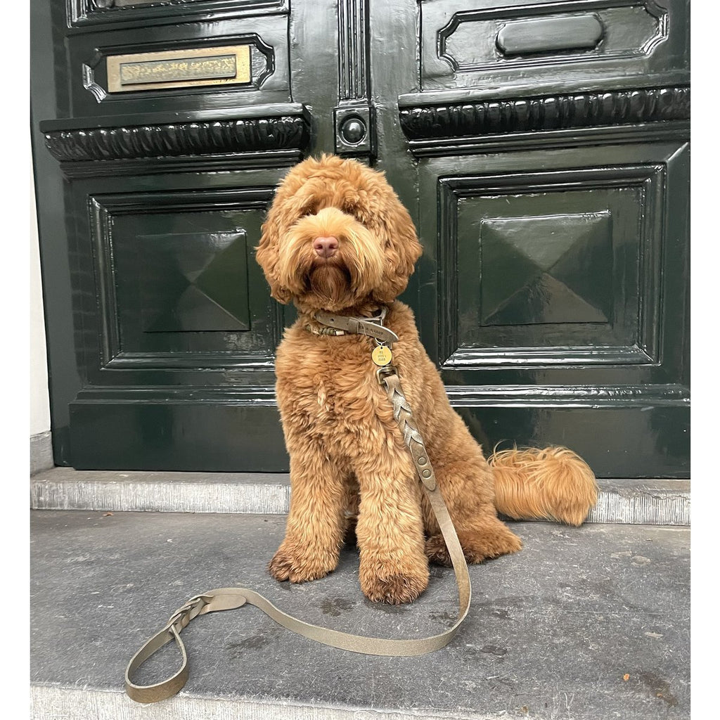 Coordinated set: Stone grey twisted leather collar and matching braided leash.