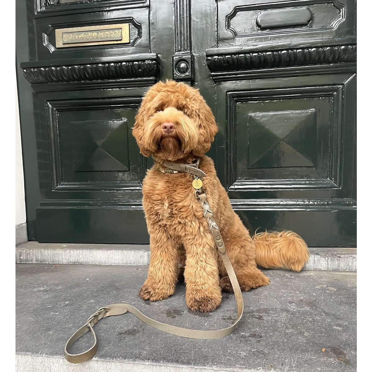 Coordinated set: Stone grey twisted leather collar and matching braided leash.